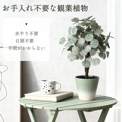 Vixplorn 観葉植物 フェイクグリーン 高さ約40cm 人工観葉植物 鉢付き アラリア 植木 おしゃれ インテリア飾り 結婚式 新築祝い 誕生日 プレゼント [2]