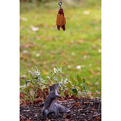 Squirrel Feeder Squirrel Bungee Jumping Toys for Feeding 62.3\'\' Elastic Bungee Rope Cord Funny Squirrel Feeding Tools Suitable for Garden Courtyards Backyard Decorations Hanging Food Corns - Thumbnail 5