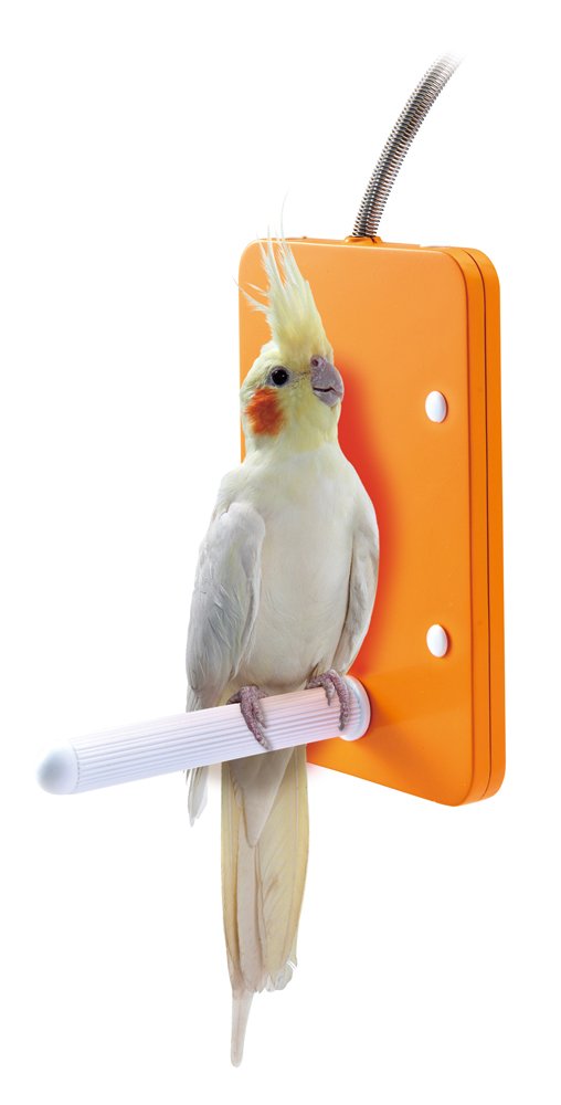 ⭐︎購入前に必ずコメントください。ピーターアザラシの毛皮 アカチャンホンポ（赤ちゃん本舗）の公式ネット通販 ｜ココピタ