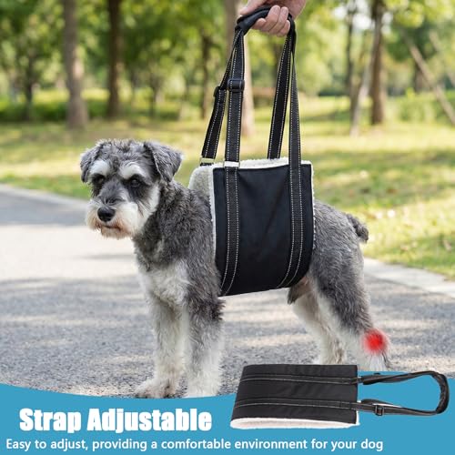 Dog Lift Harness for Small Dogs, Adjustable Support Sling with Reflective Strap & Soft Fleece Lining, Pet Recovery Aid for Senior, Injured, Disabled Dogs (Size S) - Image 6