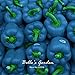 100pcs Sky Blue Round Bell Pepper Seeds Rare Sweet Pepper Seeds Vegetable Bonsai Organic Non-GMO Plant DIY
