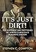 It's Just Dirt! The Historic Art Potteries of North Carolina's Seagrove Region (America Through Time)