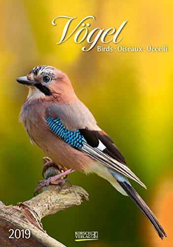Gr. farbiger Vogelkalender 220119 2019 Gr. farbiger Vogelkalender 220119 2019
