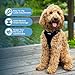 Best Pet Supplies Voyager Adjustable Step-in Flex Breathable Mesh Dog Harness for Small Medium Large Dogs (Black), S