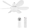 Socket Fan Light with Remote Control Ceiling Fan with Light (40cm Round Blades) (B) [Energy Class A]