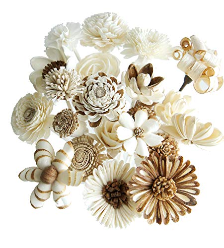 21 Mixed Sola Flower Reed Diffuser for Home Fragrance Aroma Oil by Plawanature