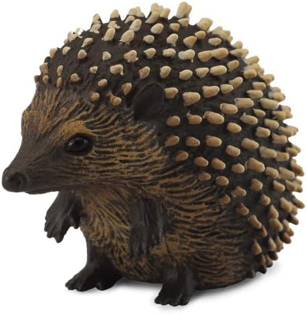 Hedgehog