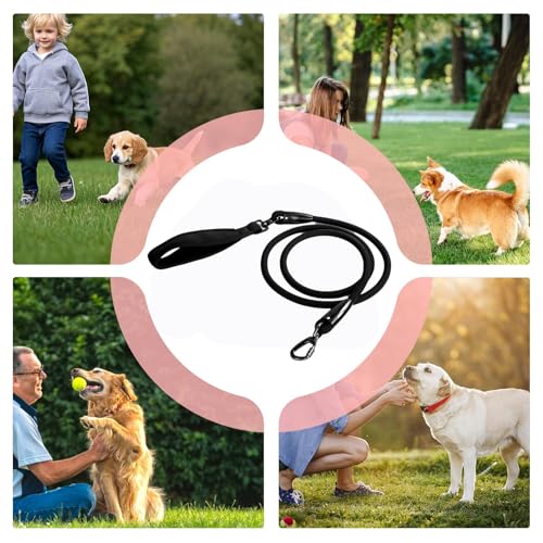 Laisses pour chiens de petite taille et chiots pour formation obéissance - 5