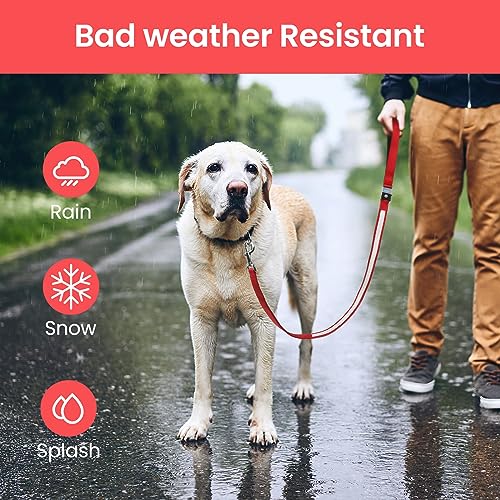 MASBRILL LED Hundeleine, Leuchtend für Kleine, Mittel Große Hunde, Wiederaufladbar &, 3 Beleuchtungsmodi 5 Farben Erhältlich, Glühen im Dunkeln Sicherheit Nachtwandern (Rot)