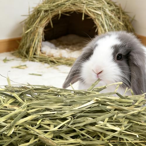 ERKOON Timothy Hay 500g para pequeñas mascotas miniatura 5