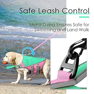 ThinkPet-Dog-Life-Jacket-Reflective-Lifesaver-with-Rescue-Handle-Adjustable-Floating-VestHigh-Buoyancy-Aid-Dog-Saver-Large-Mint-Green-Pink - Cucciolini Doodles   ThinkPet-Dog-Life-Jacket-Reflective-Lifesaver-with-Rescue-Handle-Adjustable-Floating-VestHigh-Buoyancy-Aid-Dog-Saver-Large-Mint-Green-Pink