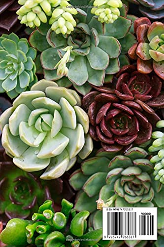 Lined Succulent Notebook - Image 2