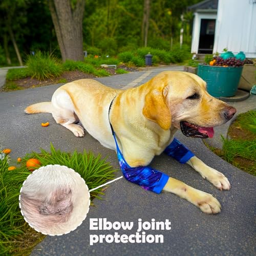 Image of Dog Elbow Wraps Knee Protector Pads Elbow Callus Treatment Sleeve for Wounds Front Legs Prevent Licking for Medium Large Dogs 3XL, Galaxy