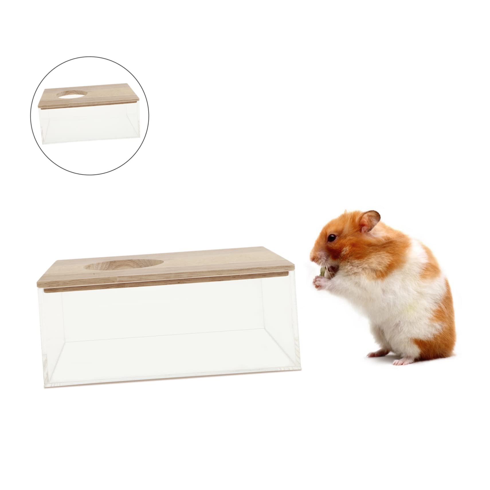 ERINGOGO Hamster Sandbad Transparente Sand-Bad Box Für Kleine Haustiere Für Chinchillas Und Hamster Leicht Zu Reinigen Lagern Vielseitig Einsetzbar