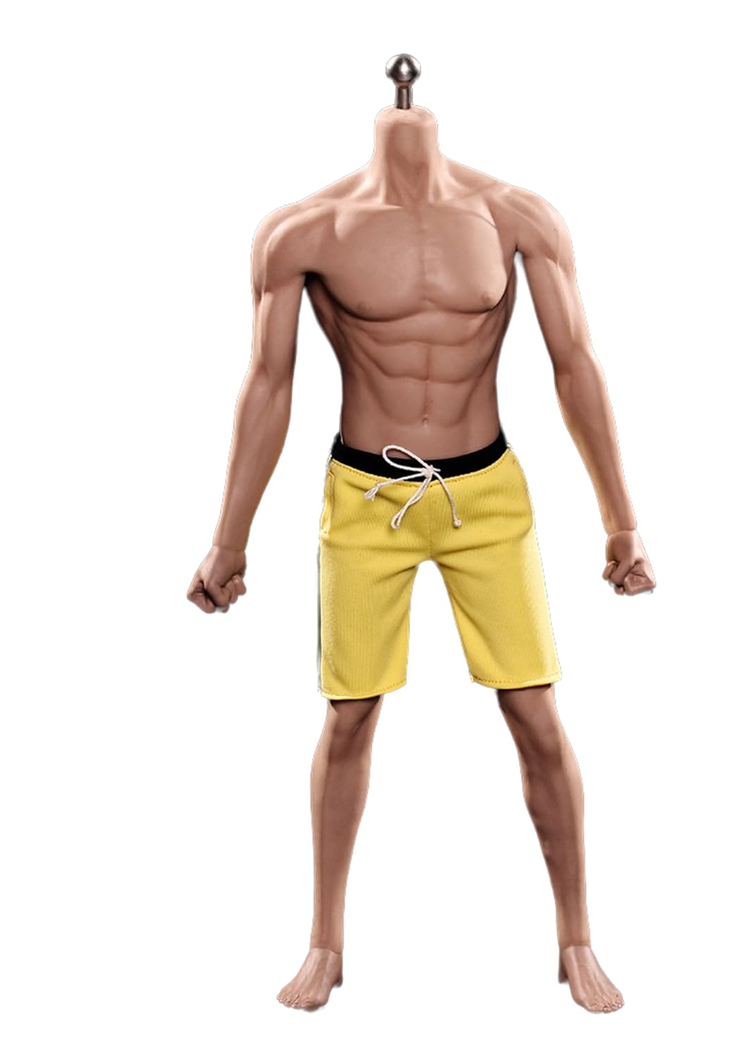 Amazon.co.jp: [Tbmodel ] TBLeague 1/6フィギュア 筋肉タイプ 素体