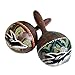 Coconut Maracas Shaker Rattles Hand Painted Percussion Instruments Set of 2 (Dolphin ABR)