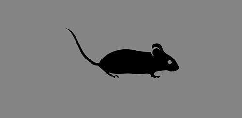 Rodent Calls & Rodent Sounds for Rodent Hunting