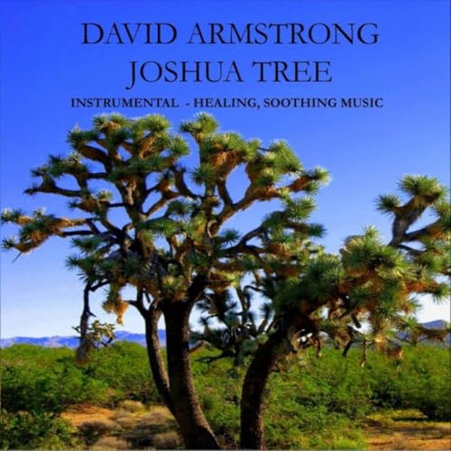  Joshua Tree