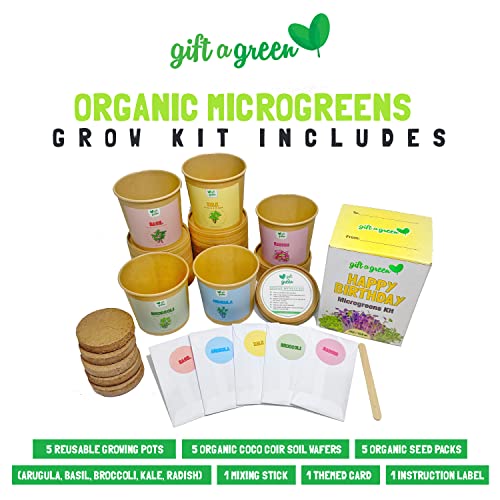 Happy Birthday Organic Microgreens Grow Kit by GIFT-A-GREEN | Send a Memorable Happy Birthday Gift Basket Where the Recipient Gets to Grow Organic Kale, Arugula, Basil, Radish, Broccoli Microgreens by GIFT A GREEN - Image 3