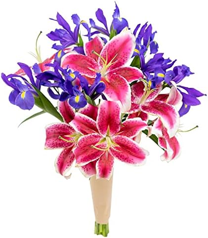 Stargazer Barn Star Bright Bouquet Lily & Telstar Iris Fresh Flowers Bouquet - Overnight Prime Delivery, Bouquet of Flowers Gift for Mother's Day - 3 Stems Stargazer Lilies & 10 Stems Telstar Iris