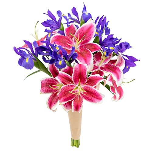 Stargazer Barn Star Bright Bouquet Lily & Telstar Iris Fresh Flowers Bouquet - Overnight Prime Delivery, Bouquet Of Flowers Gift For Mother's Day - 3 Stems Stargazer Lilies & 10 Stems Telstar Iris #TOP2