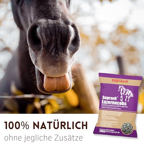 Supravit Luzernecobs 20kg - energiereiches Pferdefutter I Luzernepellets mit hohem Anteil an Carotin I liefert wichtige Mineralien für alle Pferde
