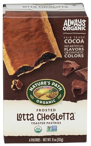 Nature's Path, Organic Toaster Pastries, Lotta Chocolotta, 6 Ct