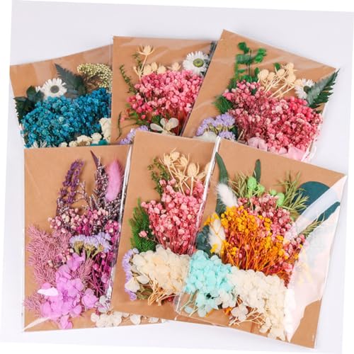 Flores secas para decoración y DIY 1 bolsa miniatura 7
