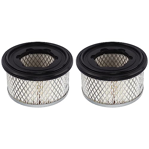 Filtre à Air ED2175306S pour Lombardini 15LD350 Remplacement Moteur 2X