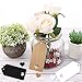 SallyFashion 180 PCS Kraft Paper Tags，Colored Gift Tags Kraft Paper Tags with Twine Paper Tags for Gifts Blank Tags DIY Crafts Arts and Crafts Wedding Birthday Holiday(3.5