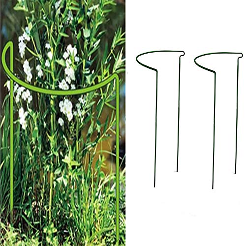 つる性植物 花の人気商品 通販 価格比較 価格 Com