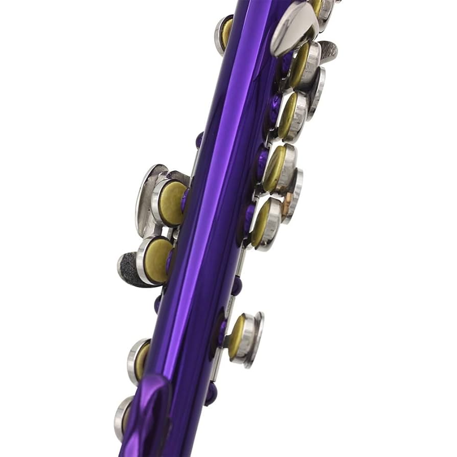 16ホールピッコロ ピッコロ 楽器 初心者 入門セット 快適性 良い手触り Amazon | 16ホールピッコロ ピッコロ 楽器 初心者 入門セット