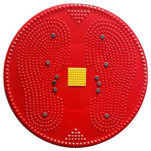 ACi Acupressure Health Care India Twister Slim and Fit -For Good & Wealth