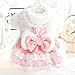 AZA Dog Princess Dresses for Small Dogs Lolita Clothes Lace Costume Bow Pet Girl Cute Coat Outfits Sunmmer Costumes (XL,Pink)