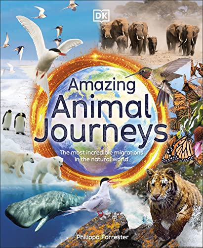 amazing-animal-journeys-the-most-incredible-migrations-in-the-natural