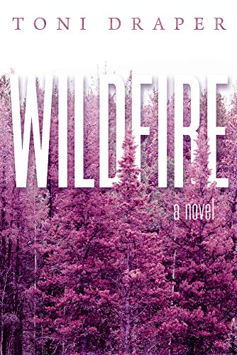 Wildfire view 2