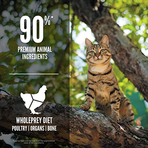 Orijen Guardian 8 | 1,8 kg | Trockenfutter für ausgewachsene Katzen | 90 % tierische Zutaten | Mit frischem oder rohem Geflügel- und Fischzutaten | Natürliche Ballaststoffquellen
