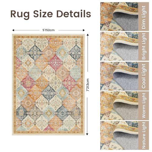 Rugland 5x7 Area Rugs - Stain Resistant Washable Rug, Anti Slip Rugs for Living Room, Vintage Tribal Area Rugs(TPR09-Multi, 5'x7')