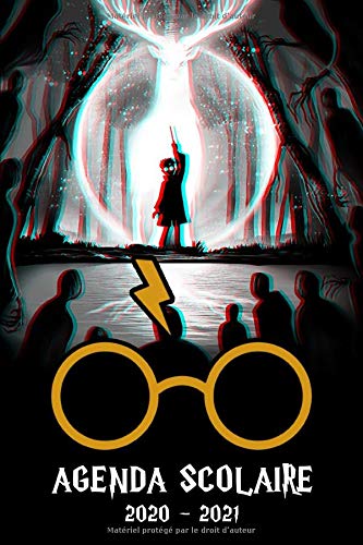 Télécharger Agenda Scolaire 2020 2021: Agenda Harry semainier et journalier | Emploi du temps | Calendrier – I Livre PDF Gratuit