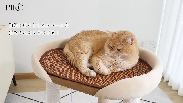 キャットタワー クッション入り／ 据え置き 見晴台 リネン生地張り Amazon | なになにLife キャットタワー 据え置き オシャレ リネン生地