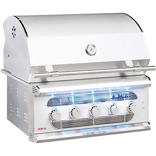 American Muscle Grill Built-in Dual-Fuel Wood/Charcoal/Gas G