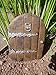 LARGE GARDEN FAIRY/HOBBIT DOOR IDEAL FOR GARDENS AND BOTTOM OF TREES by Penfound