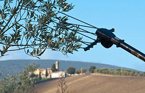 Pellenc Abbacchiatore a Batteria (Batteria Non