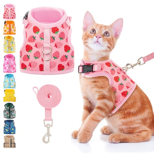 BINGPET Cat Harness with Leash Escape Proof - Fashionable Mesh Cat Dog Walking Harness Leads Adjustable for Kitties Puppies Small Animals