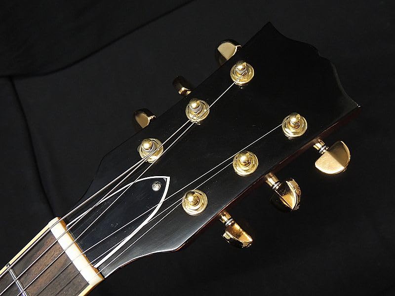 Amazon | LGuitars LG-LPS-JP/AG エルジー レスポール タイプ エレキ