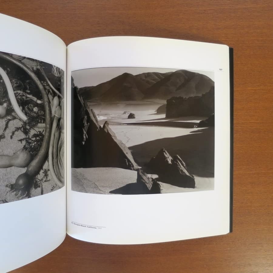 Amazon.co.jp: ブレットウェストン 写真集美術手帖 芸術新潮 装