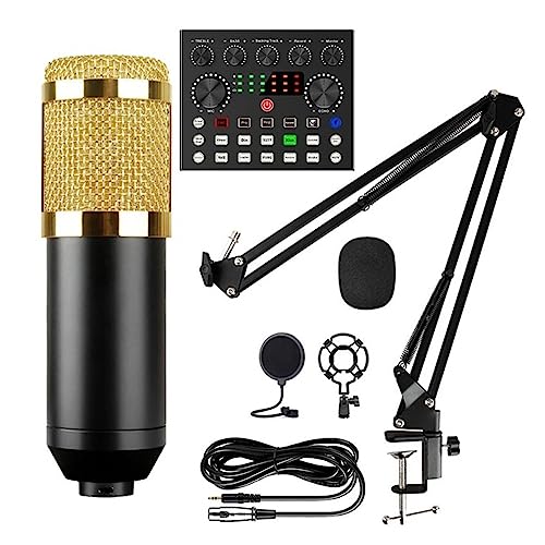 Paquete de Interfaz de Audio y micrófono Profesional: Equipo de grabación de Estudio con Tarjeta de Sonido en Vivo, Brazo de Tijera, Soporte Amortiguador y filt