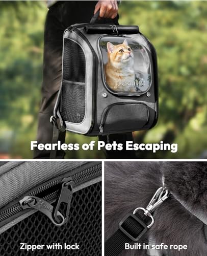 pecute Katzenrucksack Bubble Haustier Rucksack mit Netzfenster, Tragbare und Faltbare Katzentasche, Atmungsaktive und Leichte Hundetasche für Hunde Katzen Haustiere, Grau (42 * 32 * 26cm)