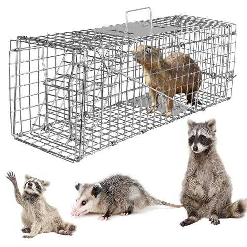 KOCASO Live Animal Trap Humane Cage Trap Catch Kitten for Small Raccoon Groundhog Armadillo Cat...