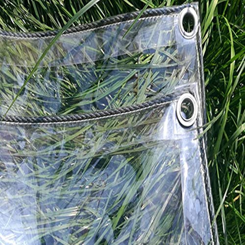 Lona impermeable para jardín de PVC transparente a prueba de lluvia 2